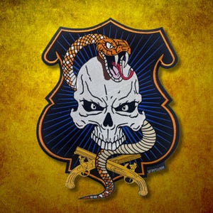 Iron on Skull Patch with Snake, Horror Patch for Jacket, Embroidered Large Skull Back Patch