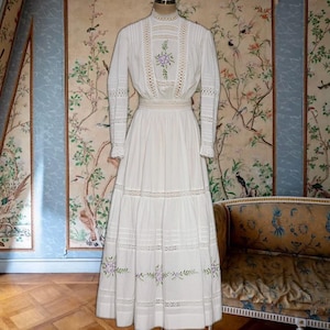 1900 Era Womens Dress