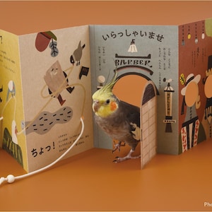 以下が含まれることがあります： イラストと日本語のテキストが入った飛び出す絵本から、オカメインコが顔をのぞかせています。本には理髪店のシーンやその他の気まぐれな絵が描かれています。背景は単色のオレンジ色です。