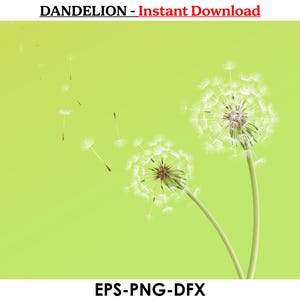 Dandelion SVG, PNG, EPS, Dandelion Svg Bundle, Dandelion Vector, Dandelion Cricut, Dandelion Clipart, Dandelion Png, Dandelion Dxf,Dandelion