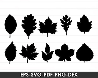 Leaves Svg Bundle, Hand Drawn Leaves Svg, Plant Svg, Cut Files, Leaf Clipart, Paper Leaves, Greenery svg, Leaf border svg