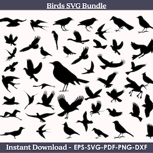 Bird SVG, Bird Svg Bundle, Flying Bird Svg, Animal Svg, Bird Clip Art, Sparrow Svg, Files for Cricut, Bird Silhouette, Birds Svg,pdf,dxf,png