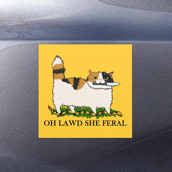 Oh Lawd She Feral Cat Car magnets