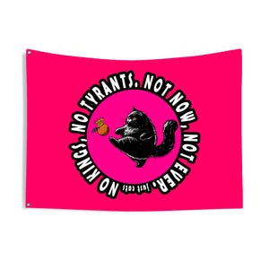 Drapeau de jardin recto-verso No Kings Just Cats, cadeau pour les amoureux des chats, bannière de maison originale, présentoir d'oeuvres d'art de protestation