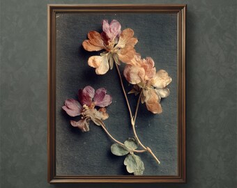 Pelargonium-kunstprint: botanische studie geperste bloem (digitale download)