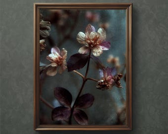 May include: A framed botanical print showing delicate flowers with white and purple petals, and dark purple leaves. The flowers are set against a muted, dark teal background, and the frame is a warm brown colour. The overall aesthetic is vintage and artistic.
