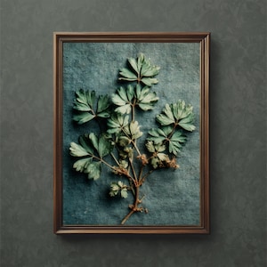 Gooseberry Art Print: Botanical Vintage Photography (Digital Download)
