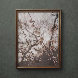 Apple Blossom Art Print: Botanical Vintage Photography (Digital Download)