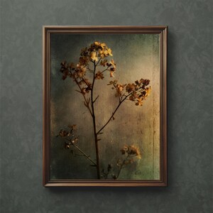 Pressed Wildflower Art Print: Botanical Herbarium Study (Digital Download)