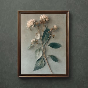 Wild Garlic Art Print: Botanical Vintage Photography (Digital Download)