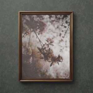 Hawthorn Art Print: Botanical Vintage Photography (Digital Download)