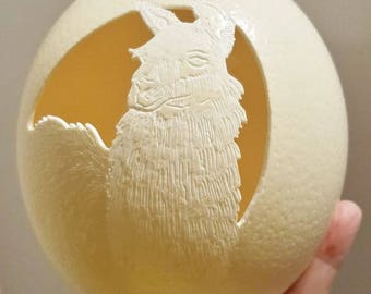 Llama Ostrich Egg