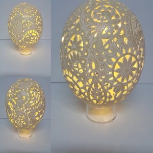 Carved Ostrich Egg