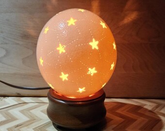 Starry Ostrich Egg Light