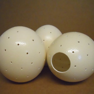 Ostrich Egg Lamp image 4