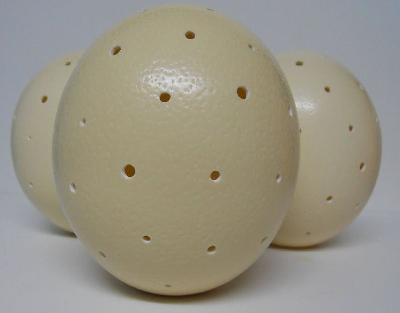 Ostrich Egg Lamp image 5