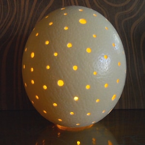 Ostrich Egg Lamp image 1