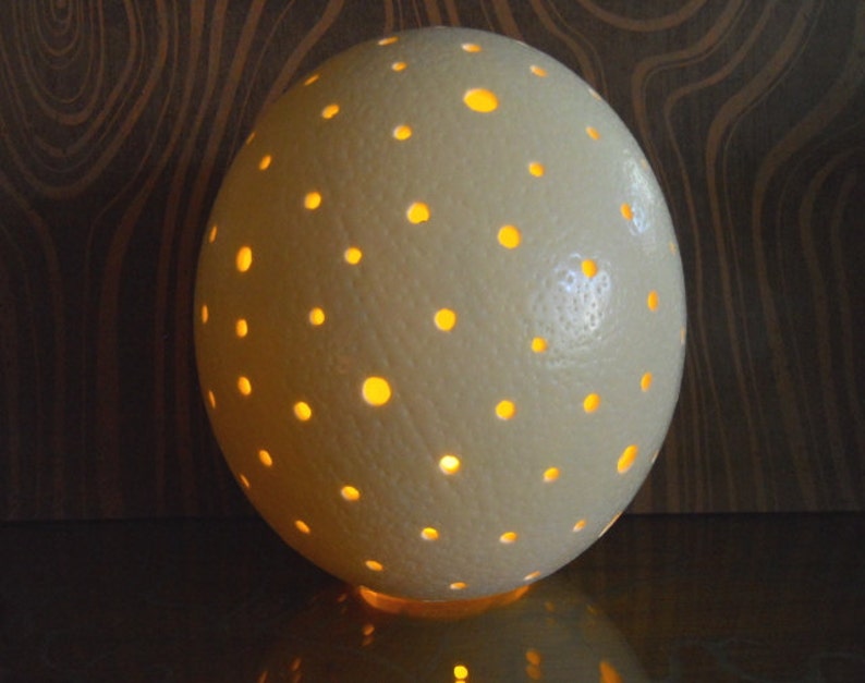 Ostrich Egg Lamp image 1