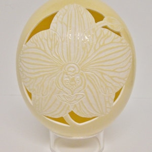 Orchid Ostrich Egg