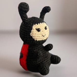 Ladybug Amigurumi Crochet Pattern