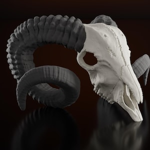 Ram Skull - Big horn Sheep Skull - Ibex Animal Skull 3D Printed Replica