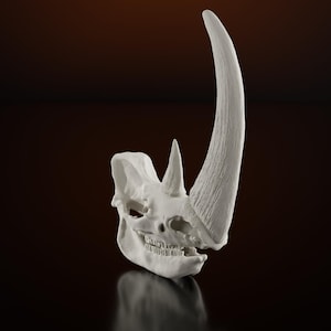 Ulllig noshörning Skalle Skale Replika Djur Dinosaurie Skalle Ben Coelodonta Antiquitatis