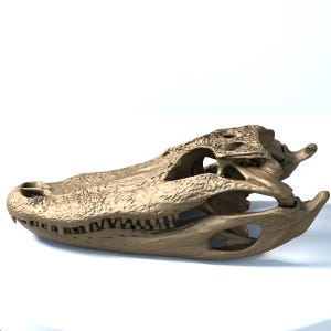 Bronze Alligator Skull Replica - 3D Printed Gothic Decor