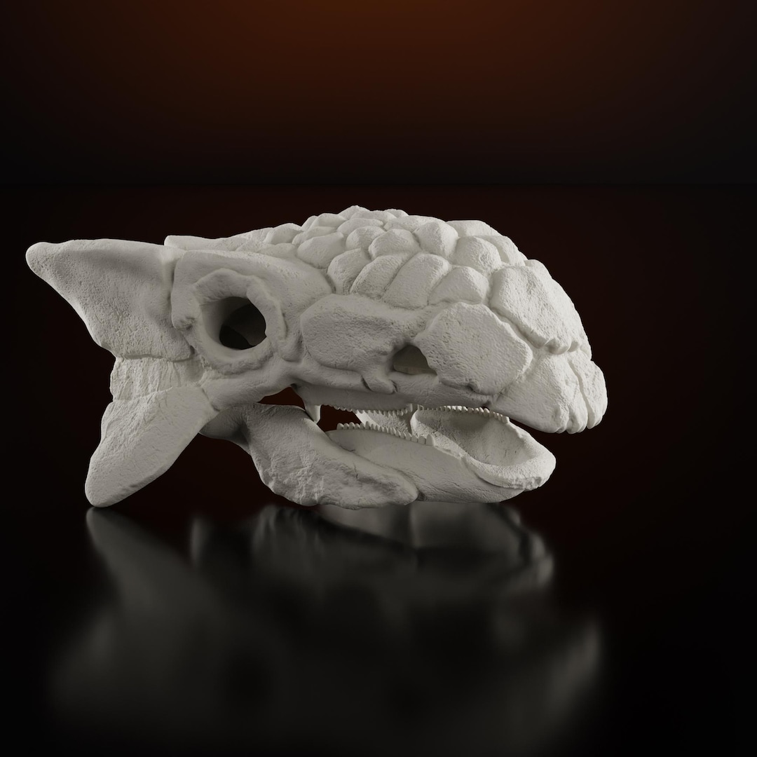 Ankylosaurus Skull Scale Replica Animal Dinosaur Skull Bones Magniventris - Etsy Canada
