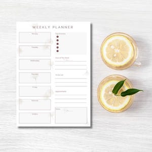 Könnte beinhalten: Ein weißer Wochenplaner mit Abschnitten für jeden Tag, obersten Prioritäten und Notizen. Zwei Gläser Wasser mit Zitronenscheiben und grünen Blättern befinden sich auf der rechten Seite des Planers.