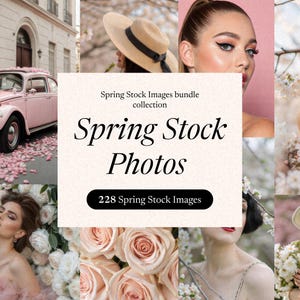 Esthetische bloemenfoto&#39;s | Anonieme Instagram- en digitale marketingafbeeldingen | AI-aandelen met master-doorverkooprechten