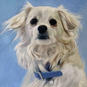 Custom Pet Portrait Oil Painting from Photo, Custom Hand Painted Canvas, Original Oil Painting, Personalized Pet Portraits, Memorial Gift