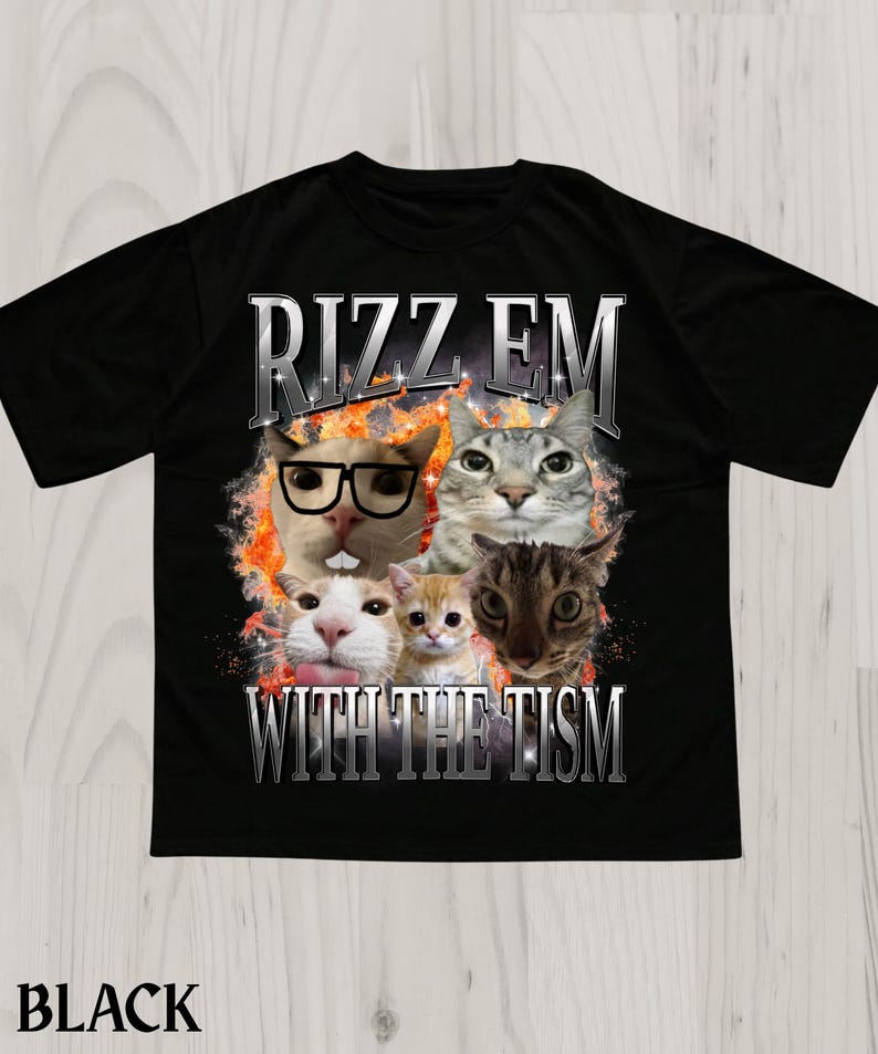 Rizz Em With the Tism Cat Meme Shirt,sarcastic Offensive Meme Tshirt ...