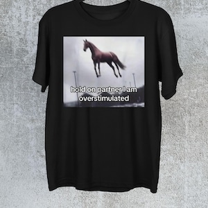 Könnte beinhalten: Schwarzes T-Shirt mit einer Grafik eines braunen Pferdes in der Luft und dem Text "hold on partner I am overstimulated". Die Pferde-Grafik ist vor einem verschwommenen, bewölkten Hintergrund platziert.