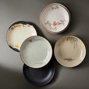 Può includere: Un set di sei piatti in ceramica con vari disegni dipinti a mano. I piatti presentano motivi floreali, di uccelli e astratti in colori come bianco, blu, verde e marrone. Ogni piatto ha un design unico e un bordo rustico.