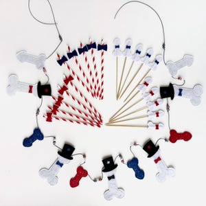 4th July Barchelorette or Bachelor Party Set