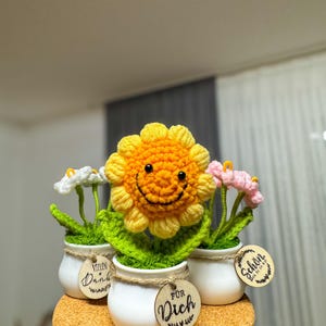 Può includere: Tre vasi di fiori all'uncinetto con un girasole giallo sorridente al centro. I vasi sono bianchi con etichette di legno che recitano "Vielen Dank", "Für Dich" e "Schön das du da bist".