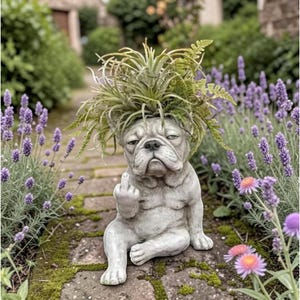Op de afbeelding: Een betonnen bulldog-planter met een planten-'kapsel' en een opgestoken middelvinger. Het grijze beeld zit op een bakstenen pad, omringd door lavendel en ander groen. De bulldog heeft een chagrijnige uitdrukking.