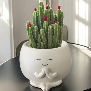 Op de afbeelding: Een witte keramische plantenpot met een lachend gezicht en handen in gebedshouding, met een groene cactus met rode bloemen. De cactus heeft meerdere stengels.