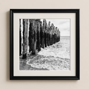 Mar, Areia e Paus. Foto em preto e branco dos groynes de madeira em St. Malo, Bretanha, França, que há muito tempo protegem a cidade.