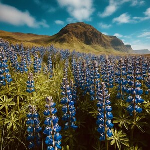 Iceland photography
