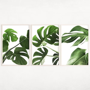 Green Plant Leaves Printable Art Set of 3, Botanical Wall Art, Plant Leaves Decor, Living Room Wall Art, Nature Posters, Printable Herbs Art