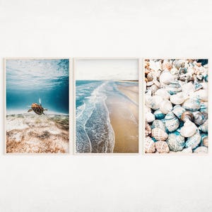 Tropischer Wandkunst 3er Set, Meeresschildkröte Druck, Digitales Strand Poster, Muscheln Dekor