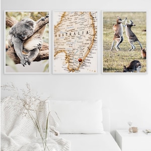 Druckbare Australien Prints 3er Set, Kenguru, Koala Nahaufnahme Fotografie, Australien Karte Wandkunst, Wald Wildtier Druck