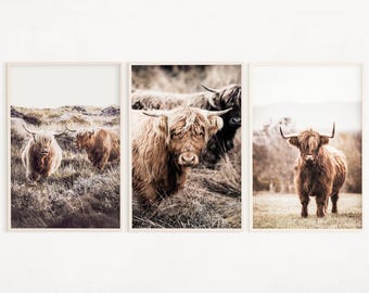 Juego de 3 impresiones fotográficas de vacas de las Tierras Altas, arte mural digital de granja, pósteres de animales