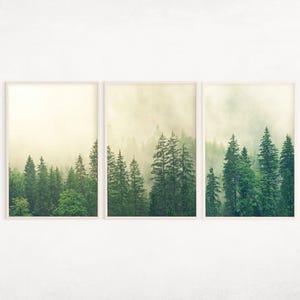 Green Foggy Forest Printable Art Set of 3, Forest Landscape Posters, Green Wall Decor, Nature 3 Pieces Wall Art, Forest Photo Print
