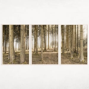 Summer Pine Forest Prints Set of 3, Green Forest Landscape Print, Large Nature Picture, Printable Forest Decor, Living Room Wall Art