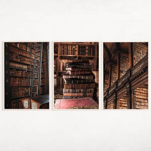 Book Lover Printable Art Set of 3, Library Wall Decor, Vintage Library Print, Readers Gift Decor, Home Library Design, Living Room Wall Art