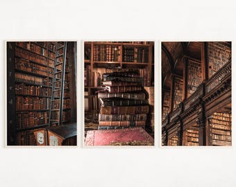 Vintage Library Print Set of 3, Librarian Gift Digital, Bookshelf Posters, Gothic Library Art