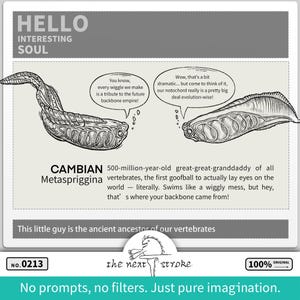 May include: A black and white educational illustration featuring two Metaspriggina creatures with speech bubbles. Text includes 'HELLO INTERESTING SOUL', 'CAMBIAN Metaspriggina', and 'This little guy is the ancient ancestor of our vertebrates'. No. 0213 is visible.