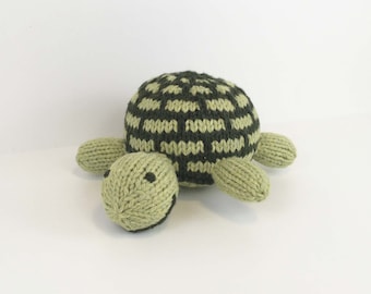 Tiny Turtle